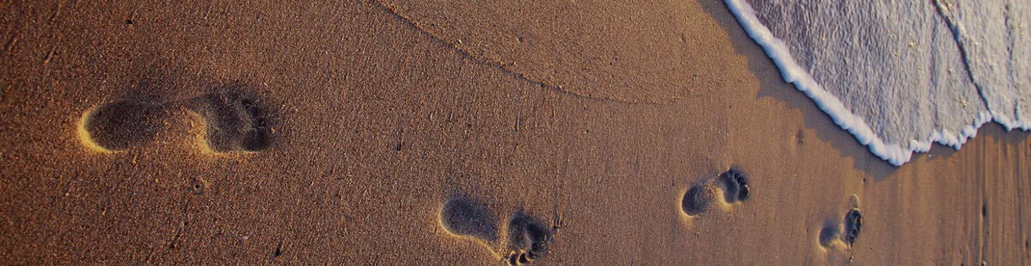 Tenho Um Amigo Que Me Ama Musicristo tenho um amigo que me ama musicristo